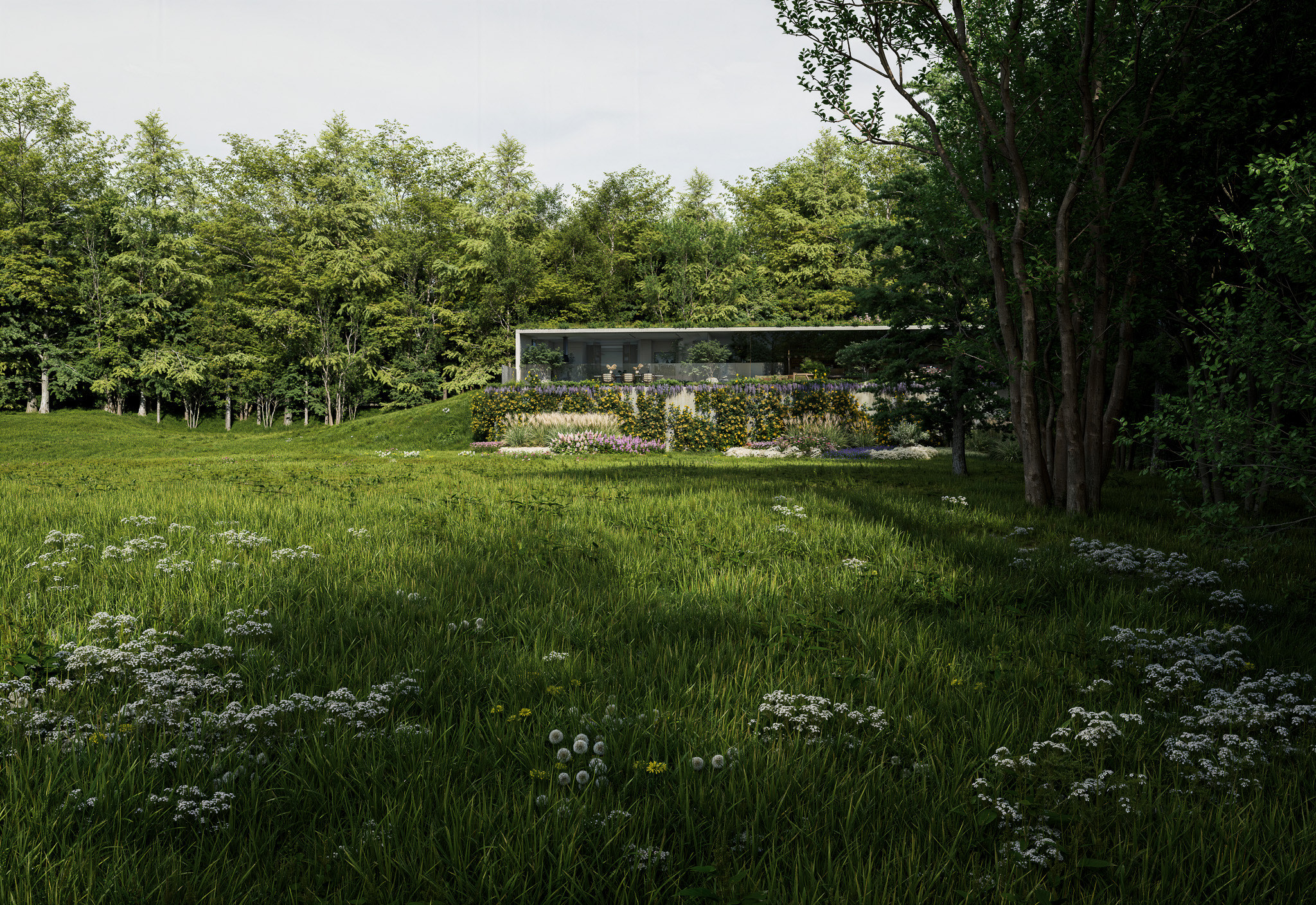 landscape render of The Clearing, a secluded house wrapped in a meadow garden